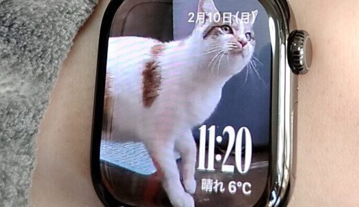 アップルウォッチ10のスレート色を買ったレビュー